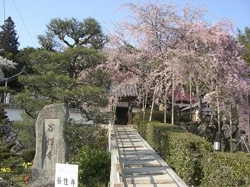 谷性寺（光秀寺）