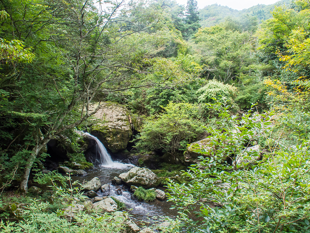 京都府立るり渓自然公園【南丹市観光】