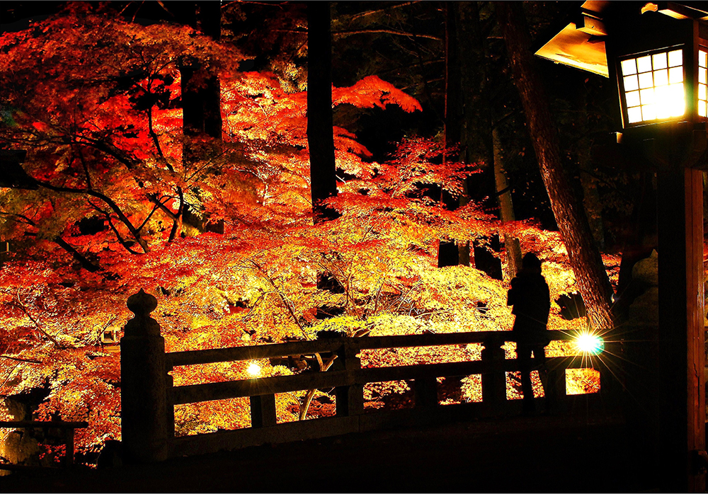 山陰線　亀山城